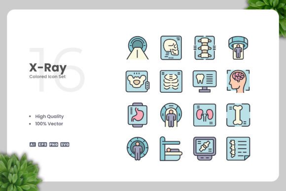 X-Ray Colored Icons: A Modern Design Solution for Creative Professionals